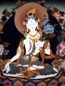 TaraBlanca