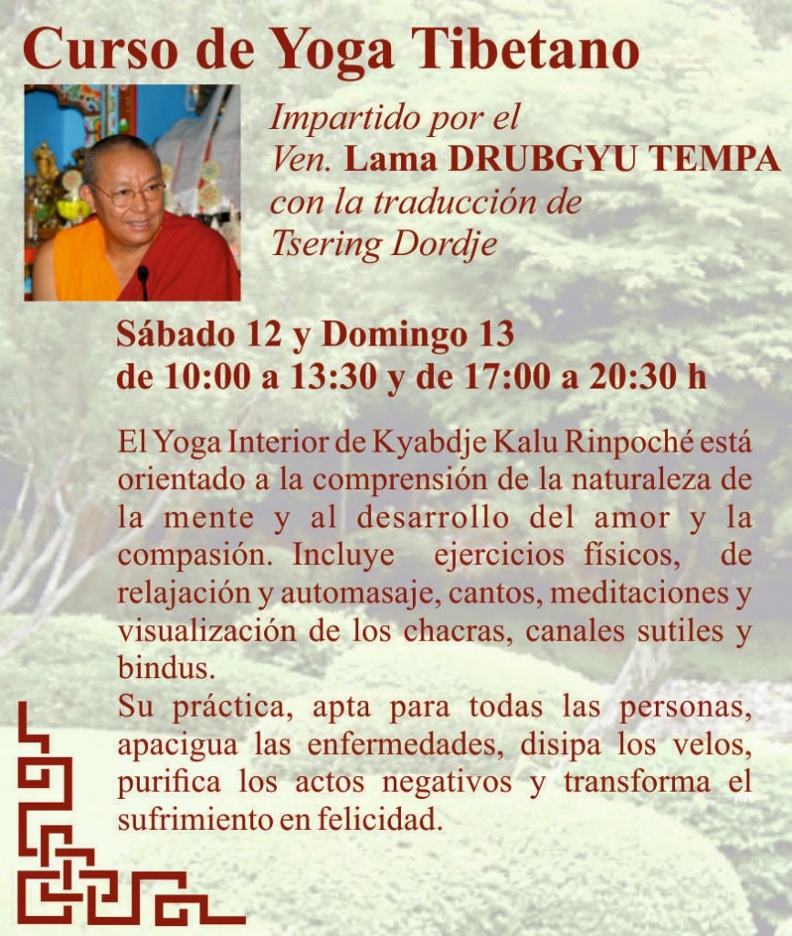 SoloYoga